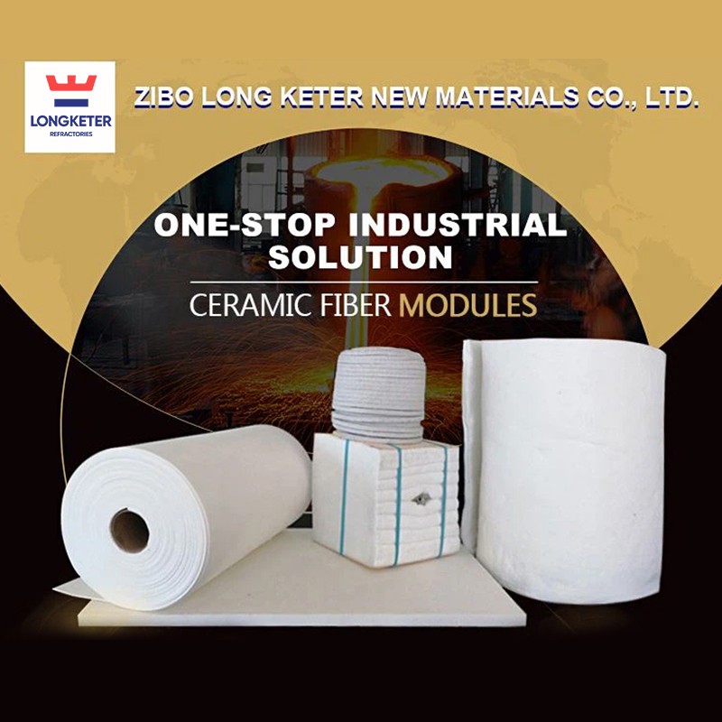 Refractory Ceramic Fiber Insulation Modules
